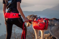 I-DOG Zugleine Comfort Trek – Bild 5