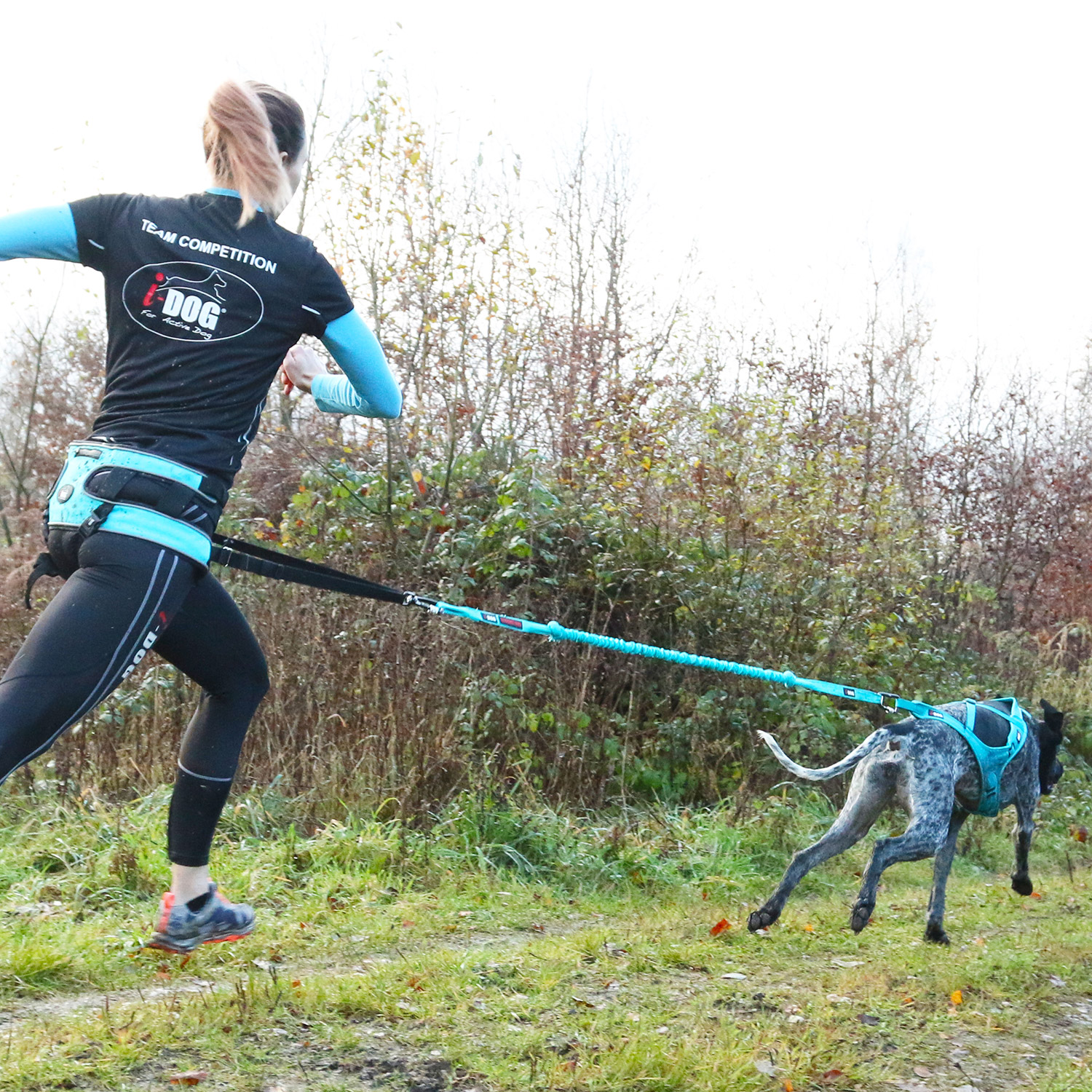 i dog zugleine alm opale