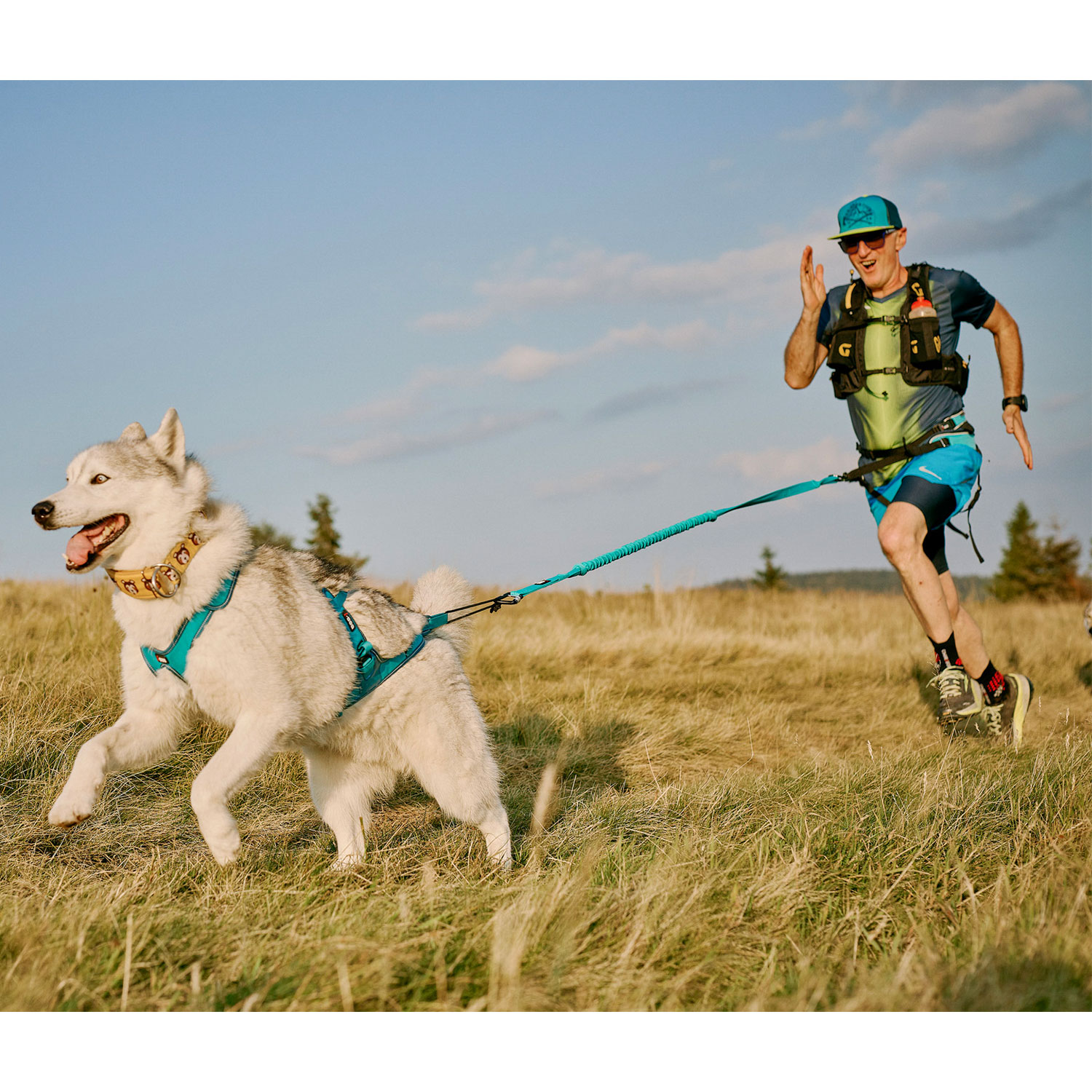 i dog zugleine alm opale