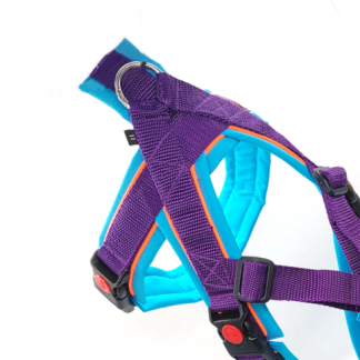 Snowpaws Produktextra: Protect-Bauchgurt für Trailgeschirr "Nukka"