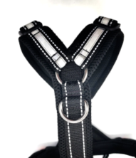 Snowpaws Produktextra: zusätzlicher Ring