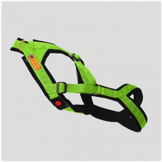 Trailgeschirr "Nukka" Größe 0 Gurtband limonengrün mit Reflektorband / Polster Airmesh schwarz