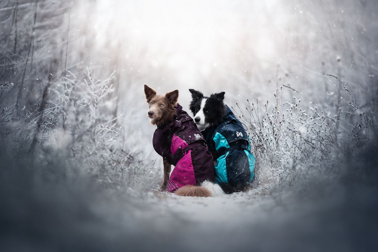 non stop glacier jacket 2.0