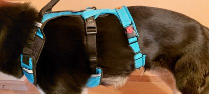 Snowpaws "Security AddOn" für Führgeschirre -sofort lieferbar- – Bild 5