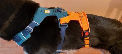 Snowpaws "Security AddOn" für Führgeschirre -sofort lieferbar- – Bild 6