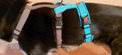 Snowpaws "Security AddOn" für Führgeschirre -sofort lieferbar- – Bild 7