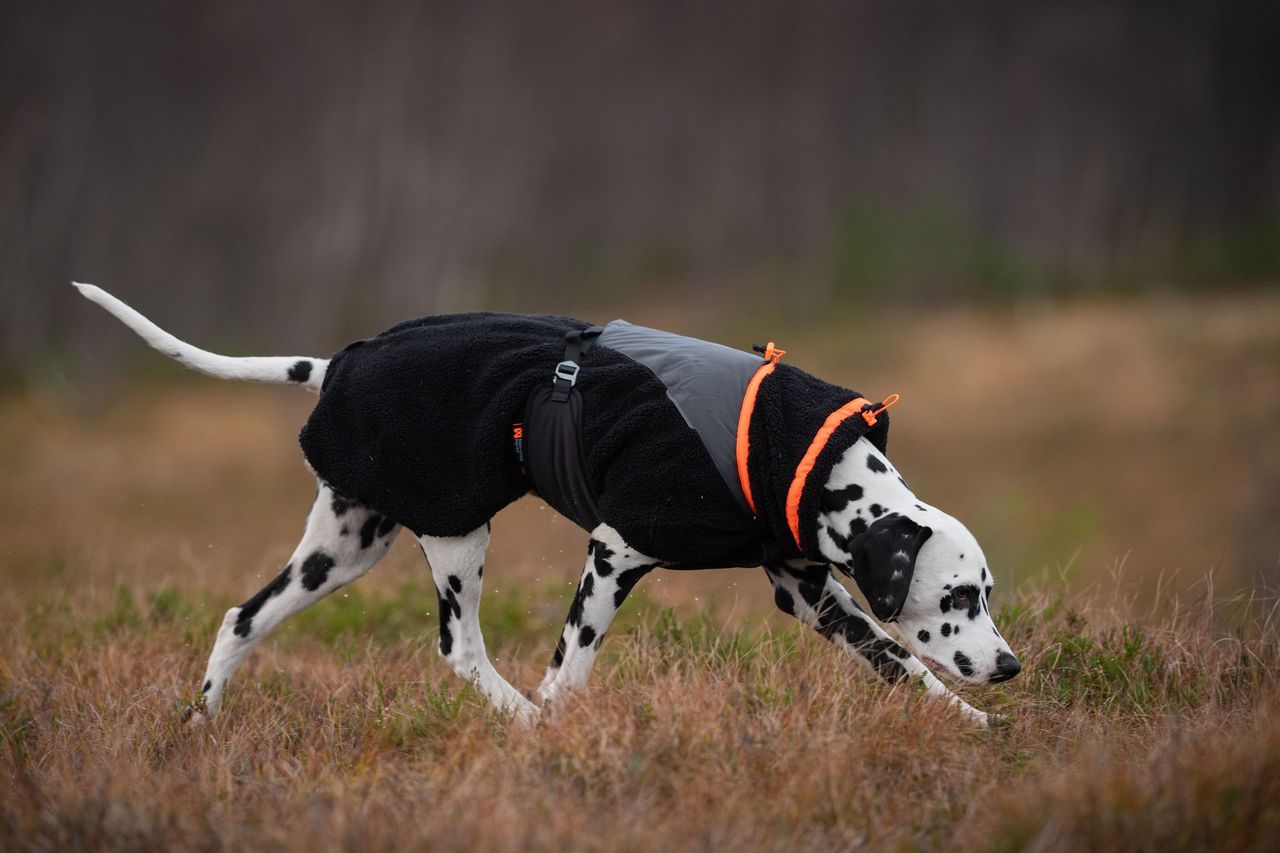 non stop dogwear trekking fleece dog jacket