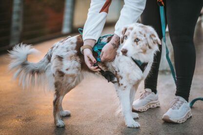 Non-stop dogwear Rush Harness – Bild 7