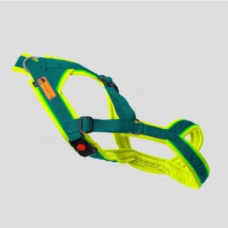 Snowpaws Trailgeschirr "Nukka" Größe 8 Gurtband petrol  - Polster Softshell neongelb - Paspelband neongrün