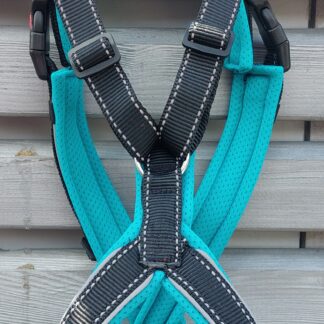 Snowpaws Trailgeschirr "Nukka" Größe 5 Gurtband schwarz_r  - Polster Airmesh eisblau (türkis) - Paspelband silber