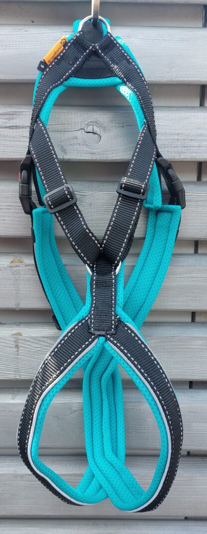 Snowpaws Trailgeschirr "Nukka" Größe 5 Gurtband schwarz_r  - Polster Airmesh eisblau (türkis) - Paspelband silber