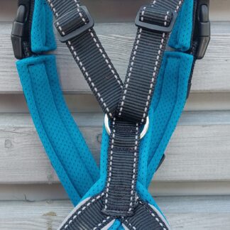 Snowpaws Trailgeschirr "Nukka" Größe 7 Gurtband schwarz_r  - Polster Airmesh petrol - Paspelband silber