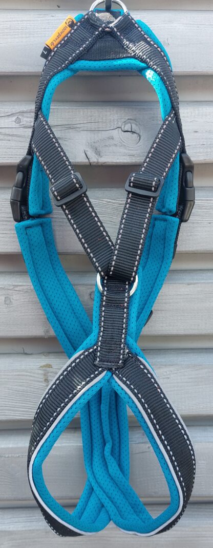 Snowpaws Trailgeschirr "Nukka" Größe 7 Gurtband schwarz_r  - Polster Airmesh petrol - Paspelband silber