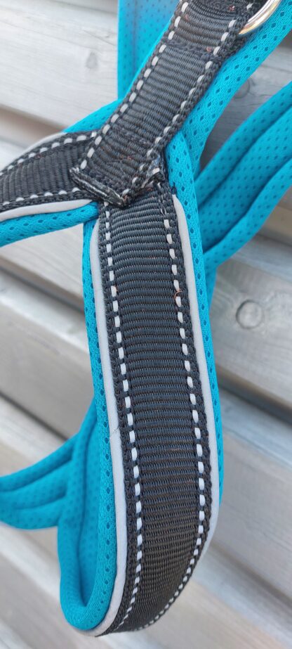 Snowpaws Trailgeschirr "Nukka" Größe 5 Gurtband schwarz_r  - Polster Airmesh eisblau (türkis) - Paspelband silber – Bild 2