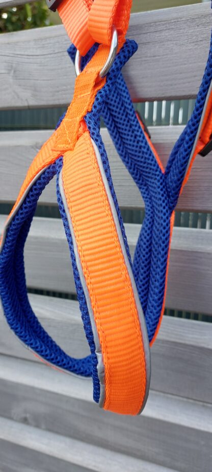 Snowpaws Trailgeschirr "Nukka" Größe 5 Gurtband orange  - Polster Airmesh blau - Paspelband silber – Bild 2