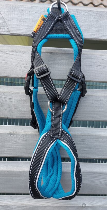 Snowpaws Trailgeschirr "Nukka" Größe 2 Gurtband schwarz_r  - Polster Airmesh petrol - Paspelband silber – Bild 2