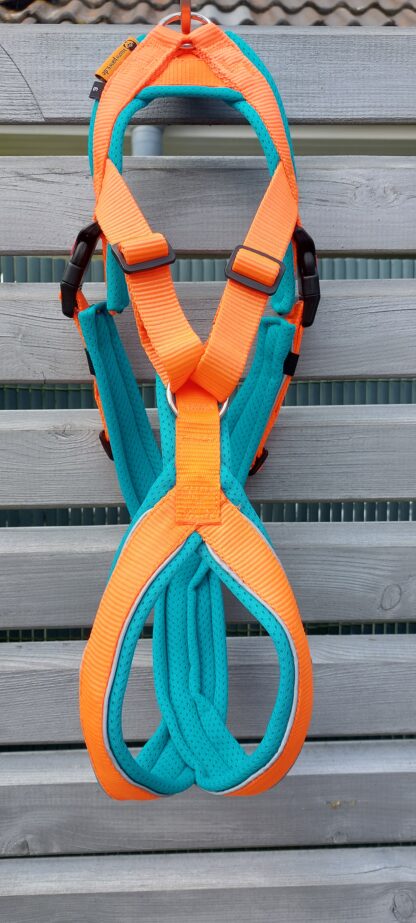 Snowpaws Trailgeschirr "Nukka" Größe 6 Gurtband orange  - Polster Airmesh eisblau - Paspelband silber – Bild 2