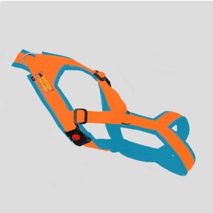 Snowpaws Trailgeschirr "Nukka" Größe 6 Gurtband orange  - Polster Airmesh eisblau - Paspelband silber