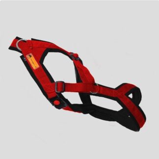 Snowpaws Trailgeschirr "Nukka" Größe 8 Gurtband rot  - Polster Airmesh schwarz - Paspelband silber