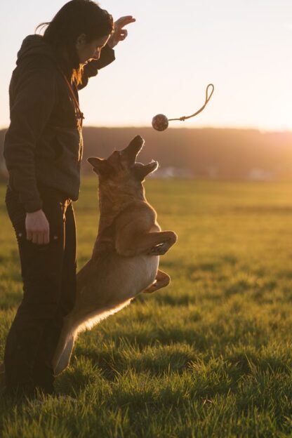 Non-stop dogwear Ball on Rope – Bild 5