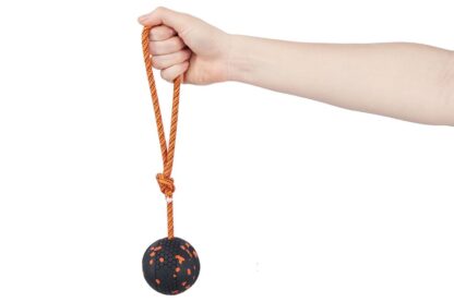 Non-stop dogwear Ball on Rope