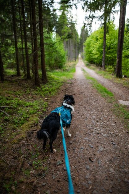 Non-stop dogwear Trail Quest dog backpack – Bild 4
