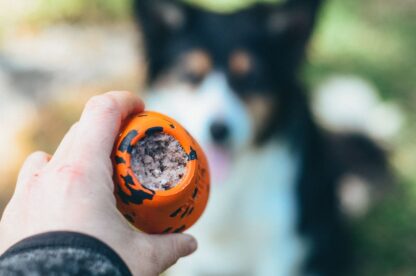 Non-stop dogwear Throw Toy "Mehrzweckspielzeug" – Bild 6