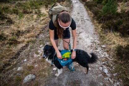 Non-stop dogwear Trail Quest dog backpack – Bild 2