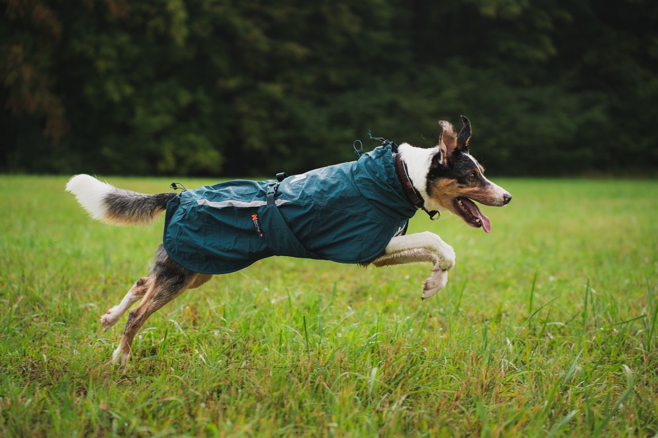 non stop fjord lined raincoat