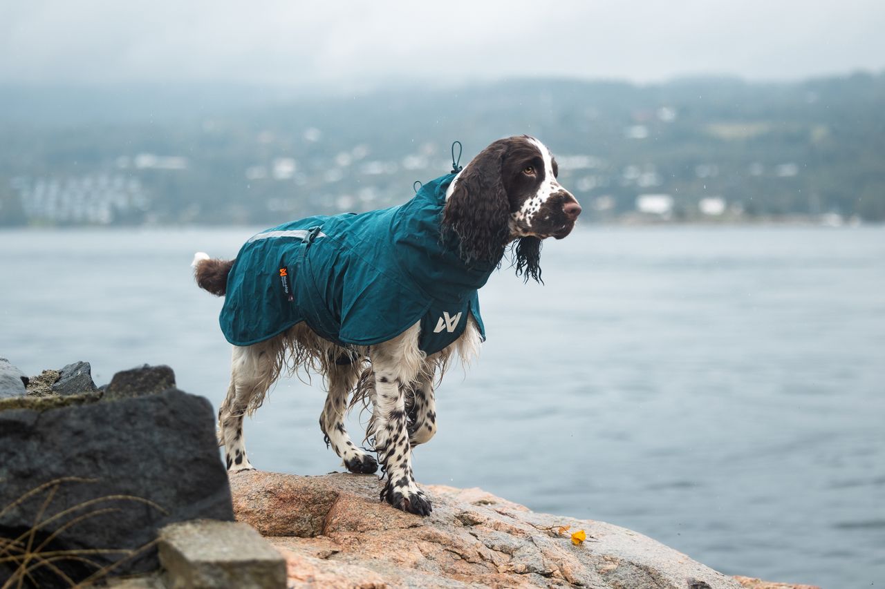 non stop fjord lined raincoat