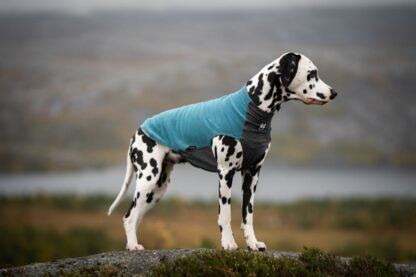 non stop dogwear trail quest fleece pullover