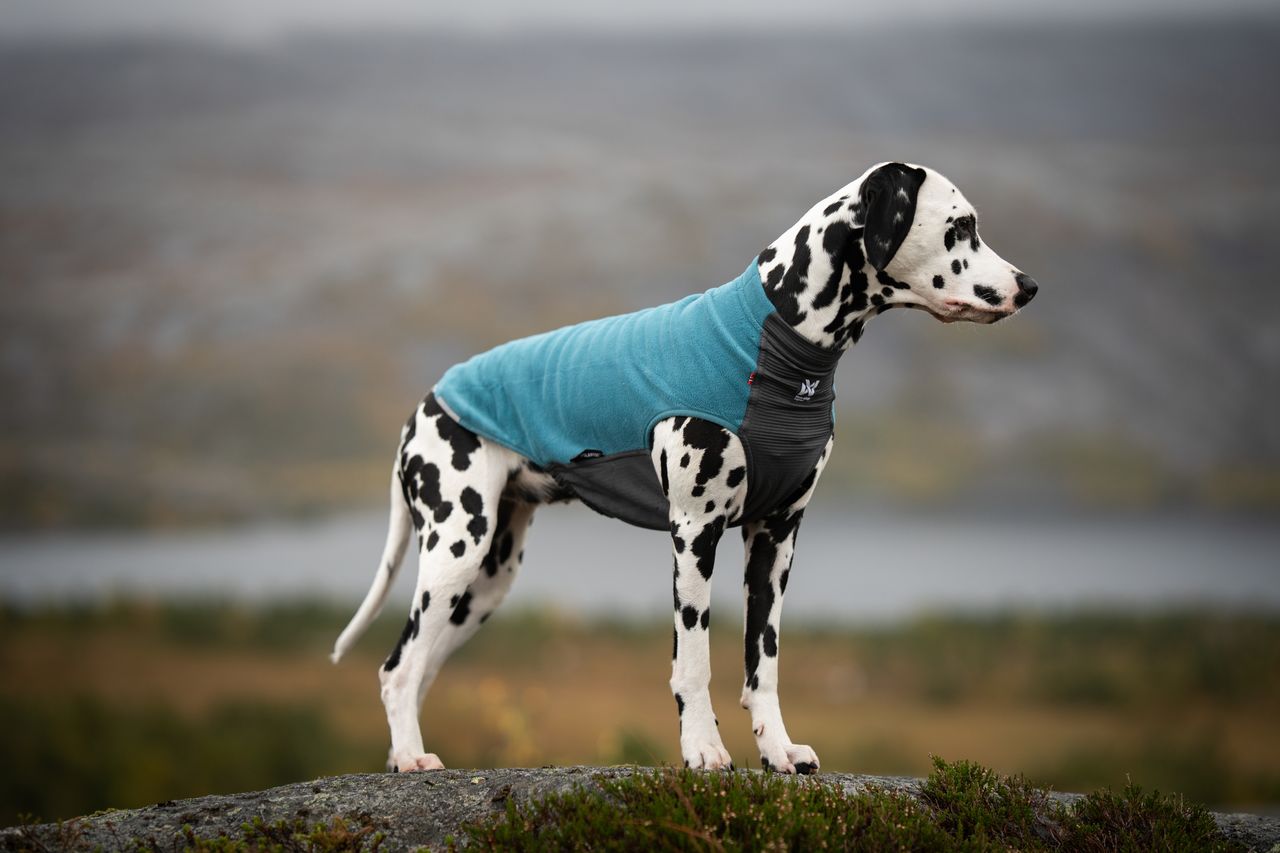 non stop dogwear trail quest fleece pullover