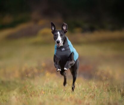 non stop dogwear trail quest fleece pullover