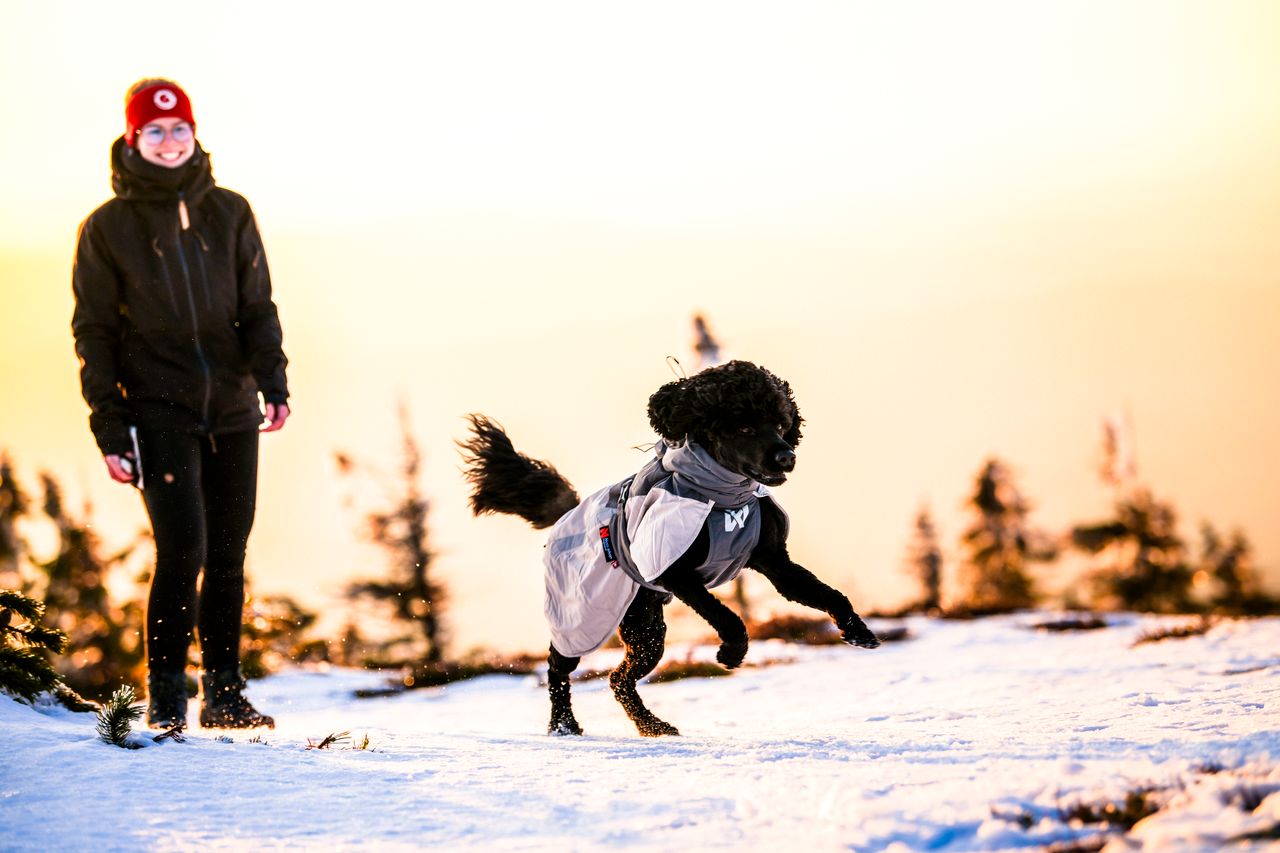 non stop glacier woll jacket 3.0