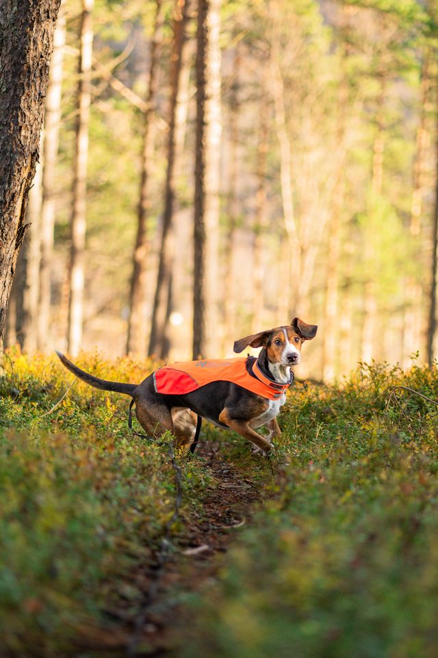 non stop protector cover 2.0