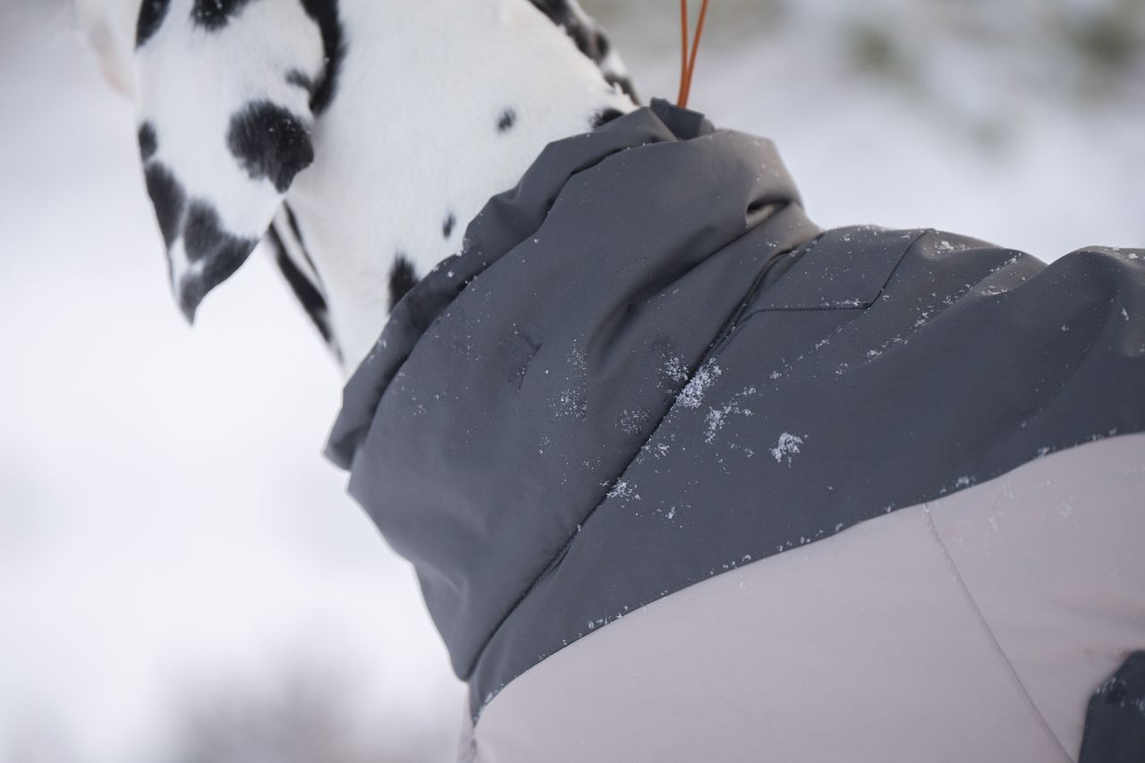 non stop glacier woll jacket 3.0