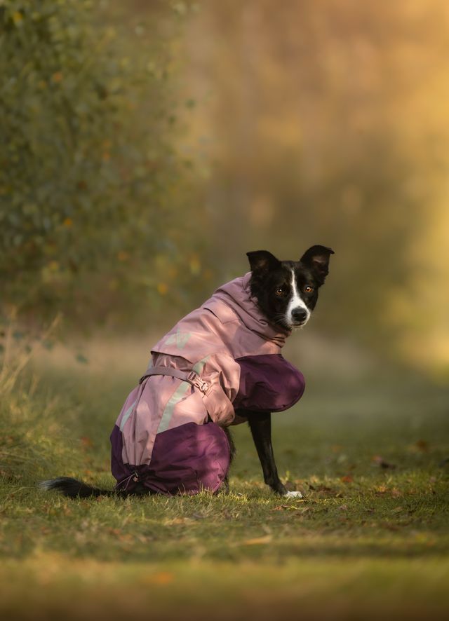 non stop glacier jacket 3.0