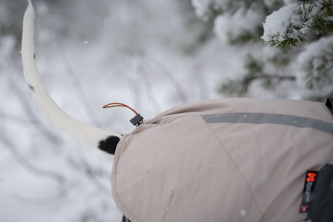 non stop glacier woll jacket 3.0