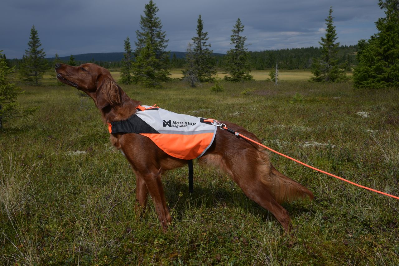 non stop protector cover 2.0