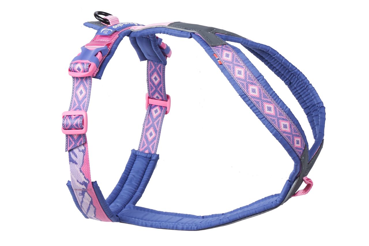 non stop dogwear line harness 5.0 rachel pohl edition