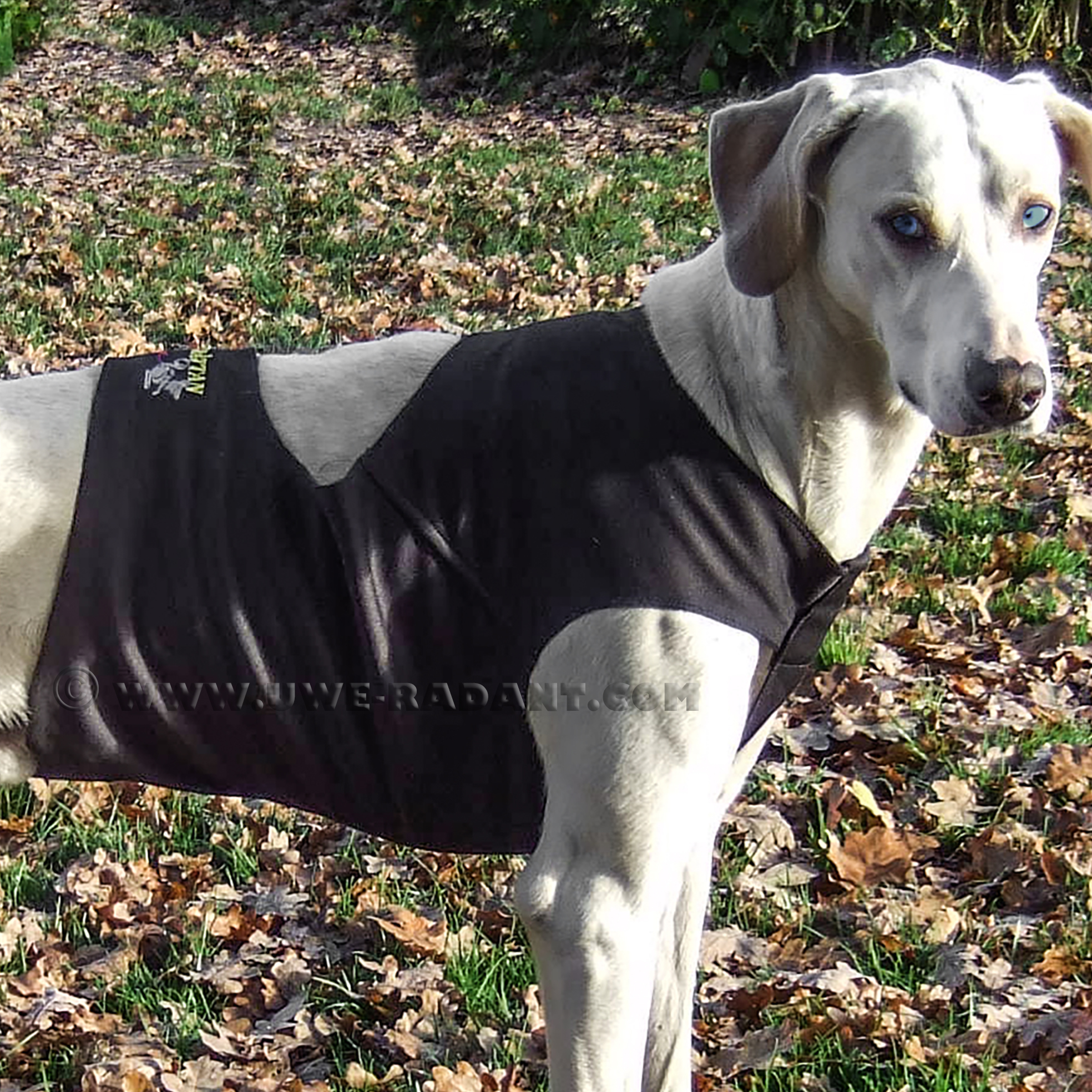 dragrattan shirt / decke