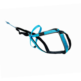 v.i.p. dogwear multisport geschirr – dogtrekking zuggeschirr türkis 2.0