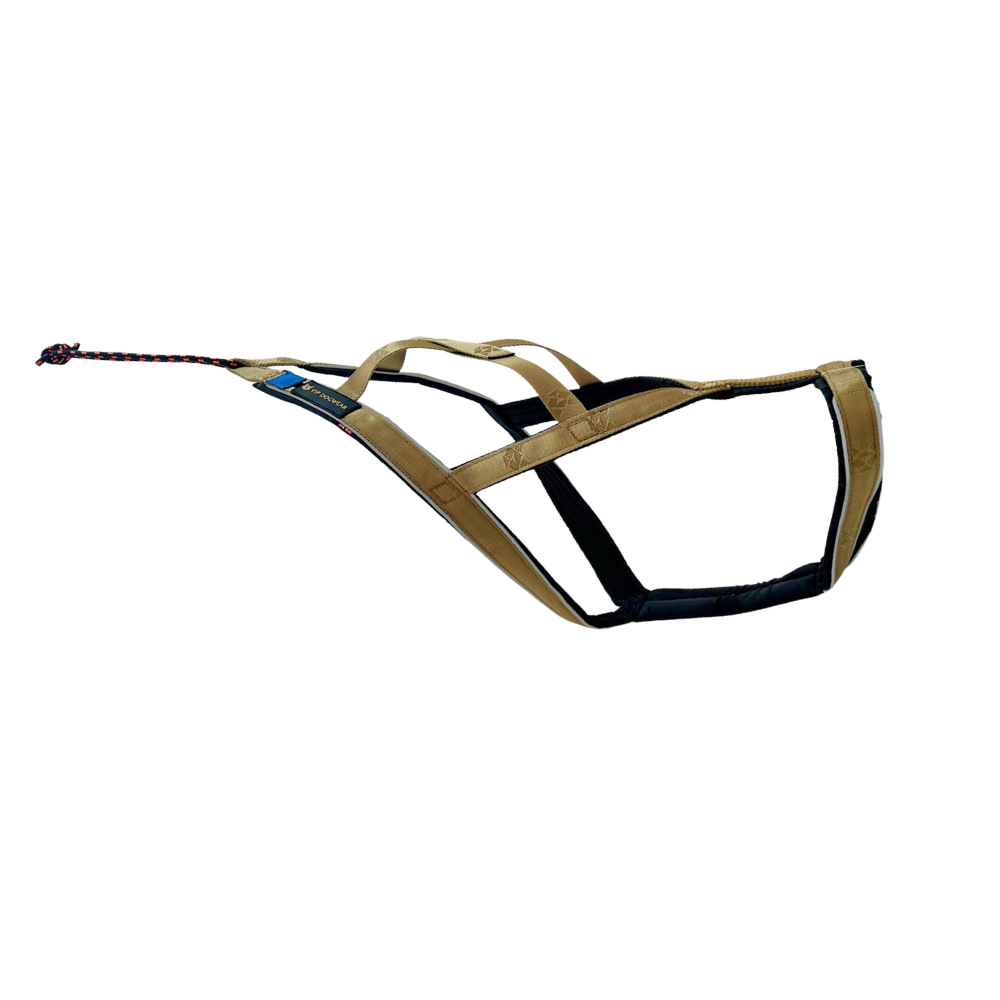 vip r back geschirr (signature gold)