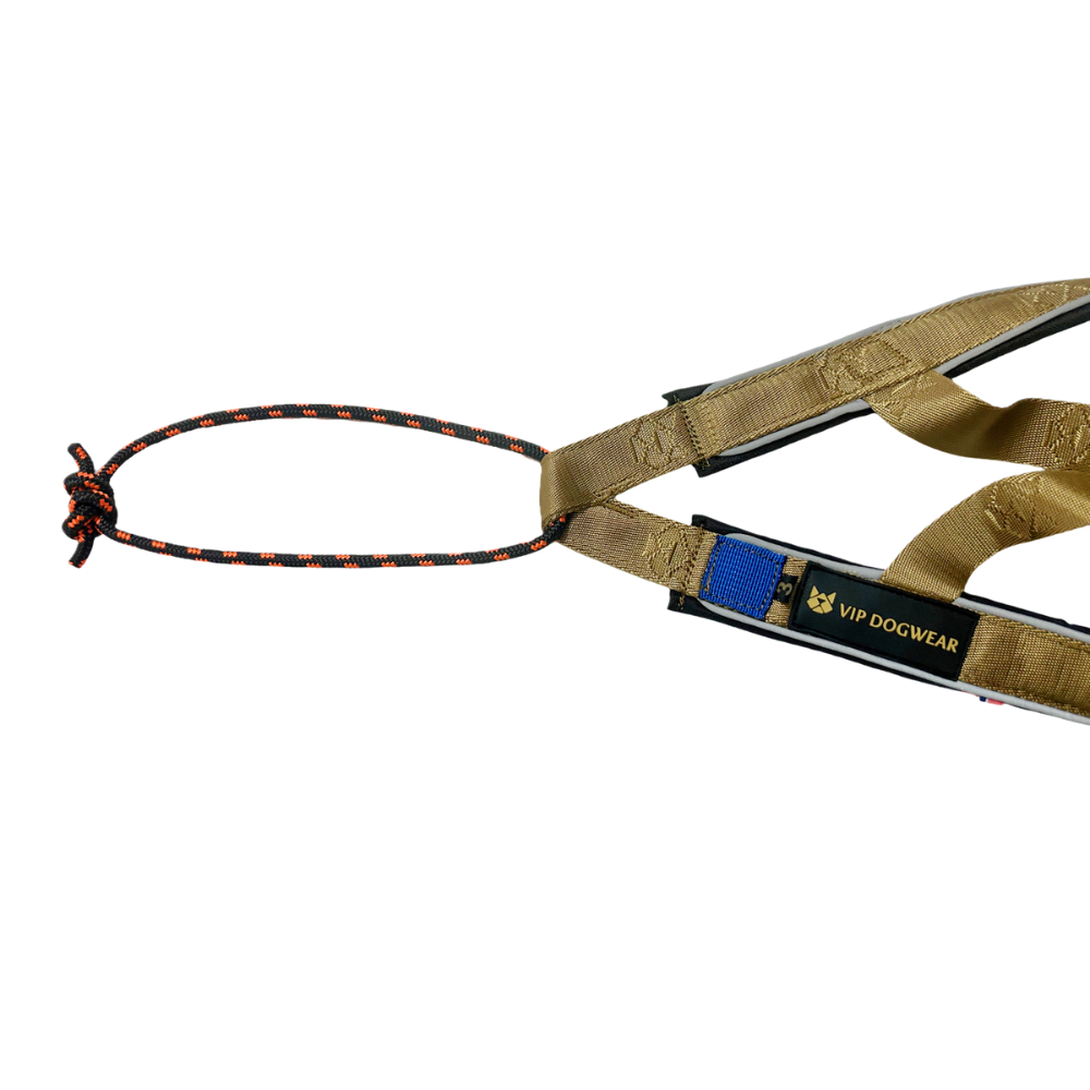 vip r back geschirr (signature gold)