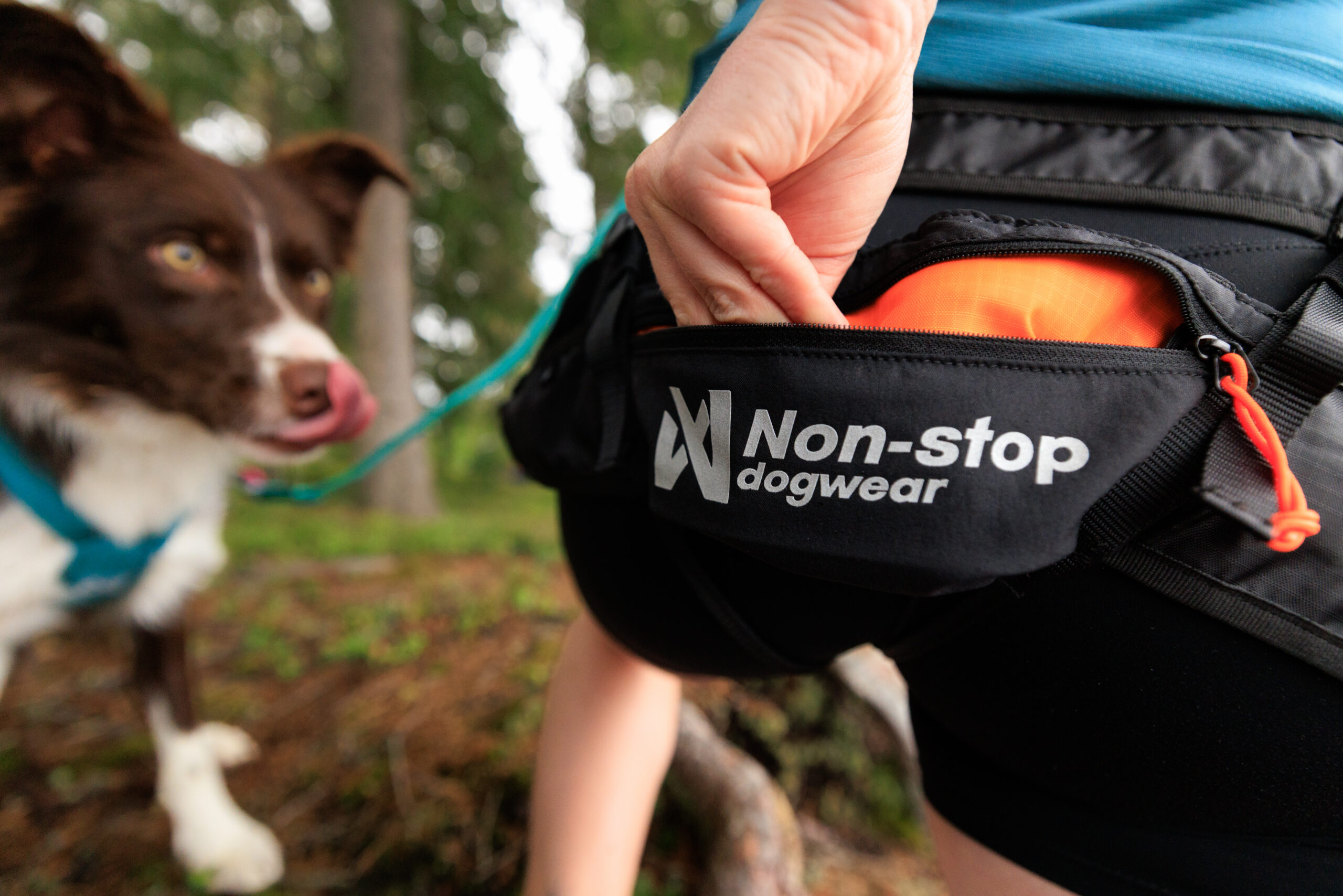 non stop dogwear canix belt 3.0
